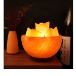 LÁMPARA DE SAL DEL HIMALAYA 4,5 Kg 220V CON DIMER